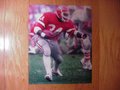 Picture: Herschel Walker Georgia Bulldogs 11 X 14 photo of Herschel rushing for a touchdown against Tennessee in the opening game of the 1981 season.