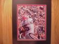 Picture: Verron Haynes Georgia Bulldogs original 8 X 10 "Hobnailed Boot" Catch photo. Though pictured here with matting, this photo can be purchased at this item number with no matting.