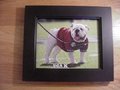 Picture: UGA X Georgia Bulldogs original and high quality 8 X 10 photo professionally framed in very nice black wood to 11 X 14.