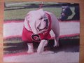 Picture: UGA VIII Georgia Bulldogs original photo.