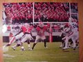Picture: Isaiah Crowell Georgia Bulldogs 20 X 30 in action against Auburn in Georgia's 45-7 win.