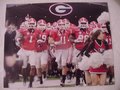Picture: Aaron Murray leads the Georgia Bulldogs original 16 X 20 photo poster.