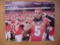 Picture: Damian Swann and David Andrews Georgia Bulldogs original 16 X 20 poster against Clemson. We are the copyright holders of this image and the quality and clarity is fantastic.