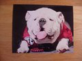 Picture: UGA X Georgia Bulldogs original and high quality 20 X 30 poster.