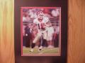 Picture: Hines Ward "Pitch or Run" original 8 X 10 Georgia Bulldogs photo professionally double matted to 11 X 14 to fit a standard frame.