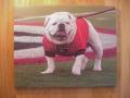 Picture: UGA VI Georgia Bulldogs 16 X 20 poster!